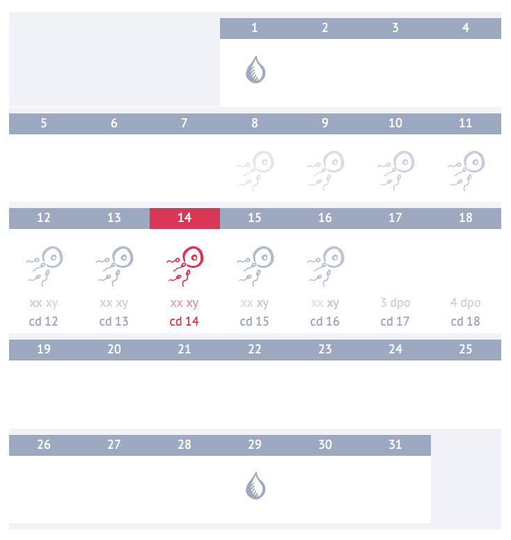 Овуляция калькулятор мальчика. Благоприятные дни для зачатия. Благоприятные дни овуляции для зачатия. Овуляция рассчитать калькулятор для зачатия девочки 2020. Рассчитать овуляцию для зачатия девочки калькулятор.